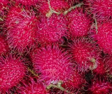 Brightly colored fruits