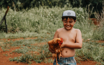 A young boy holding a chicken